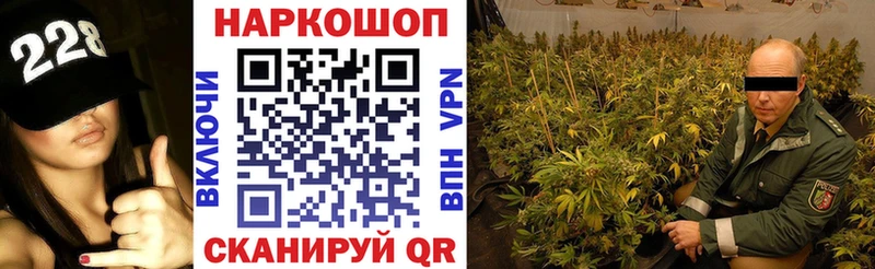 Где можно купить наркотики Королёв Псилоцибиновые грибы  Alpha PVP  Меф мяу мяу  COCAIN  Гашиш 